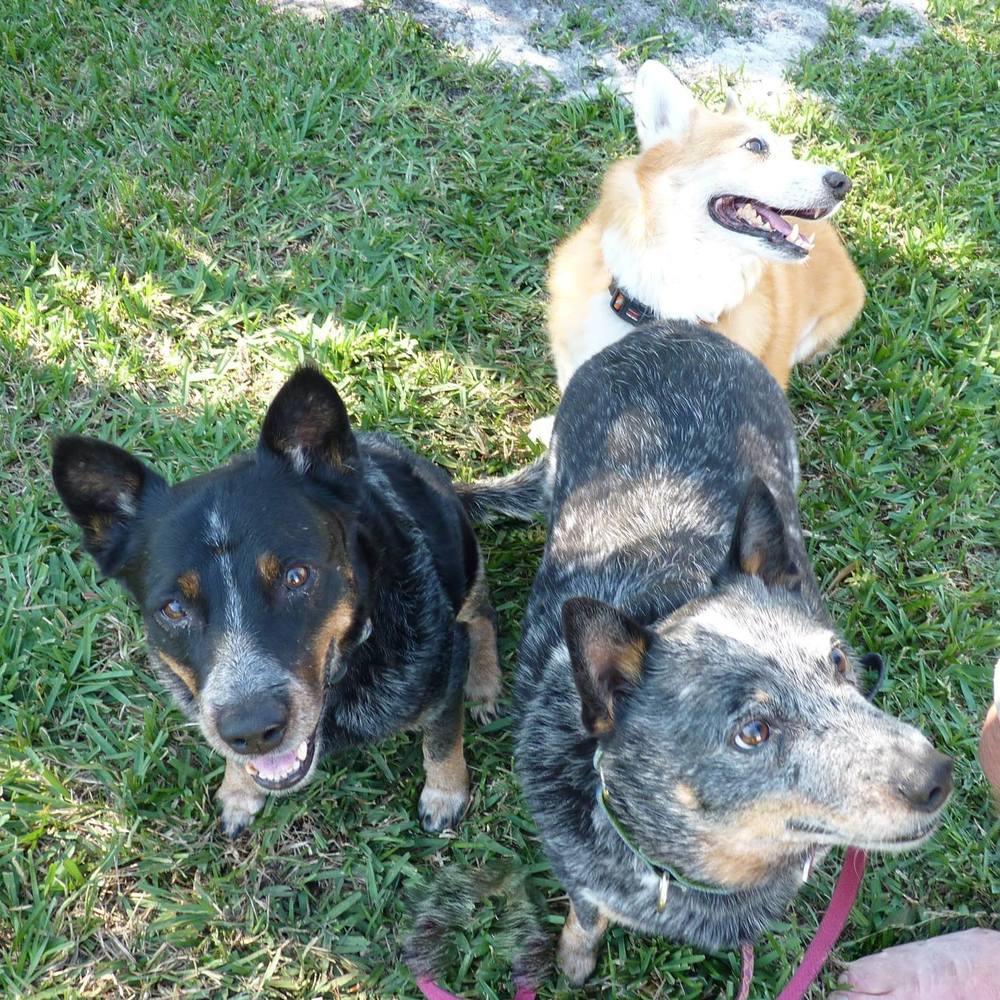 Meet your Posher, Karen